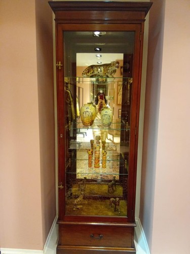 Mahogany shop display cabinet - shop,
