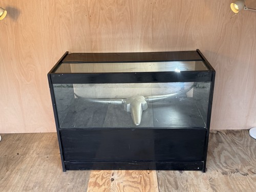 Glass fronted black display - glass,