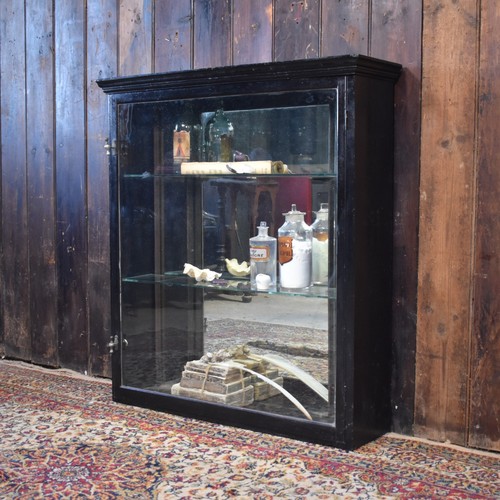 Antique ebonised shop cabinet - antique,