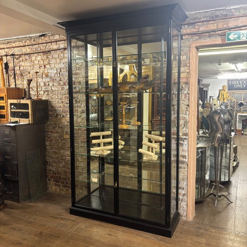 Large ebonised shop - shop, display